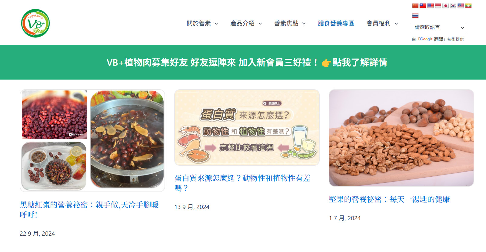精選案例圖：善素協會網站設計